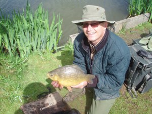 A typical MF Crucian