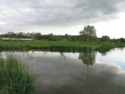 Showing signs of Summer at last.