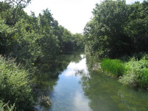 The Loddon