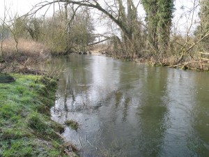 The Avon