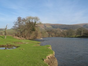 The Wye