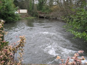 The Mill Pool