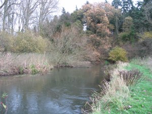 The Itchen