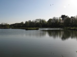 Little signs of Spring growth