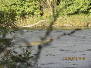 The Bondi Beach of the Midlands
