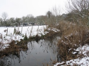 The Upper Lea in it's winter cloak