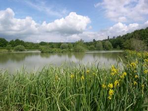 Bonds lake in warmer times