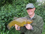 6lb Tench