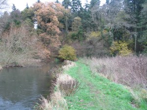 The Lower Itchen Fishery